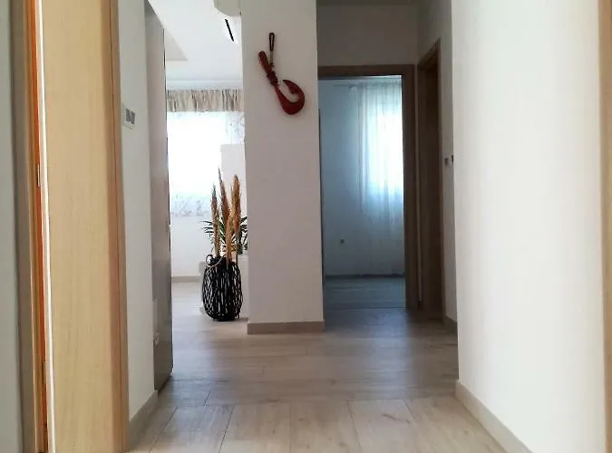 Daire Dalmatino Rukavac (Vis)
