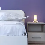 Dalmatino 아파트 *