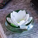 Dalmatino 아파트 루카박