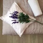Dalmatino *